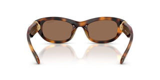 Swarovski SK 6036U women Havana Cat Eye Sunglasses