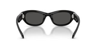 Swarovski SK 6036U women 0 Cat Eye Sunglasses
