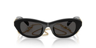 Swarovski SK 6036U women Black Cat Eye Sunglasses