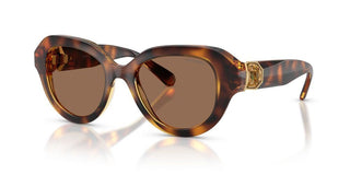 Swarovski SK 6037 women Havana Sunglasses