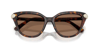 Swarovski SK 6039 women Havana Cat Eye Sunglasses