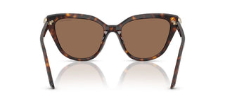 Swarovski SK 6039 women Havana Cat Eye Sunglasses