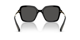 Swarovski Sk 6040 Women   Sunglasses