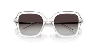 Swarovski Sk 6040 Women Transparent  Sunglasses