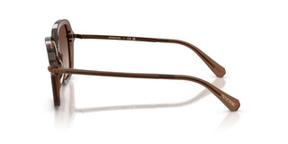 Swarovski SK 6040 women Brown Sunglasses