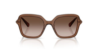 Swarovski SK 6040 women Brown Sunglasses