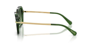 Swarovski Sk 6040 Women Green  Sunglasses