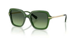 Swarovski Sk 6040 Women Green  Sunglasses