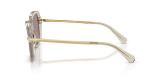 Swarovski SK 6040 women Brown Sunglasses