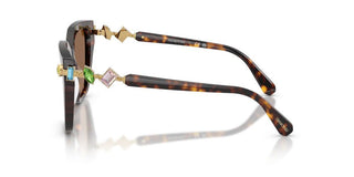 Swarovski SK 6041 women Havana Sunglasses
