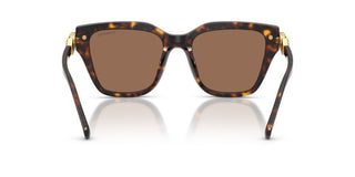 Swarovski SK 6041 women Havana Sunglasses