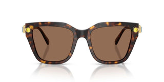 Swarovski SK 6041 women Havana Sunglasses