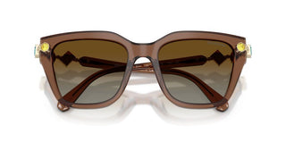 Swarovski SK 6041 women Brown Sunglasses