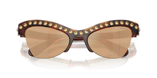 Swarovski SK 6043 women Havana Butterfly Sunglasses
