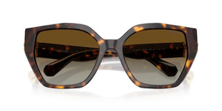 Swarovski SK 6044U women Havana Butterfly Sunglasses