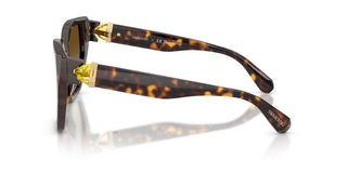 Swarovski SK 6044U women Havana Butterfly Sunglasses