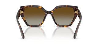 Swarovski SK 6044U women Havana Butterfly Sunglasses