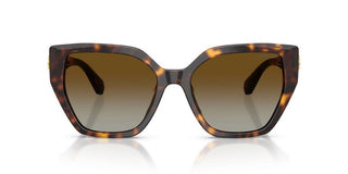 Swarovski SK 6044U women Havana Butterfly Sunglasses