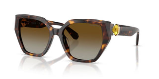 Swarovski SK 6044U women Havana Butterfly Sunglasses