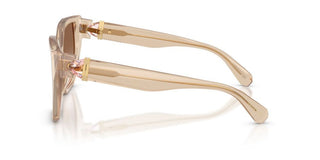 Swarovski SK 6044U women Brown Butterfly Sunglasses