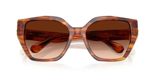 Swarovski SK 6044U women Brown Butterfly Sunglasses