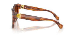 Swarovski SK 6044U women Brown Butterfly Sunglasses