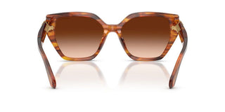 Swarovski SK 6044U women Brown Butterfly Sunglasses