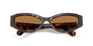 Swarovski SK 6045U women Havana Cat Eye Sunglasses