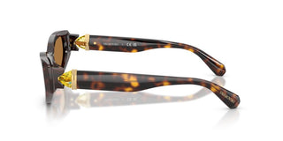 Swarovski SK 6045U women Havana Cat Eye Sunglasses