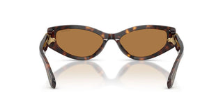 Swarovski SK 6045U women Havana Cat Eye Sunglasses