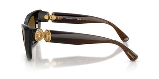 Swarovski SK 6047 women Brown Cat Eye Sunglasses