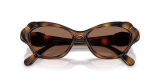 Swarovski SK 6050 women Havana Butterfly Sunglasses