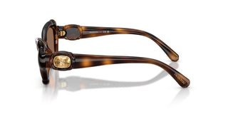 Swarovski SK 6050 women Havana Butterfly Sunglasses
