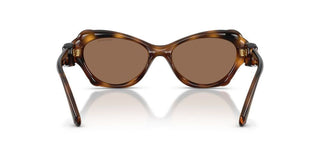 Swarovski SK 6050 women Havana Butterfly Sunglasses
