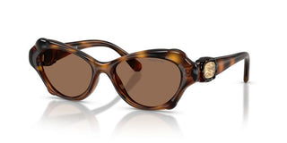 Swarovski SK 6050 women Havana Butterfly Sunglasses