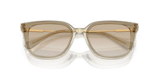 Swarovski SK 6054D women Brown Sunglasses