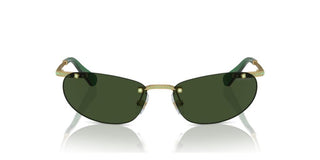 Swarovski SK 7019 women Gold Oval Sunglasses