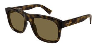 Saint Laurent SL 558 men Havana Geometric Sunglasses