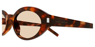 Saint Laurent SL 567 women Havana Round Sunglasses