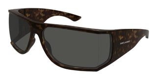 Saint Laurent SL 806 unisex Havana Squared Sunglasses