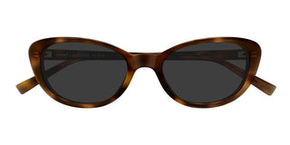 Saint Laurent SL 822 women Havana Cat Eye Sunglasses