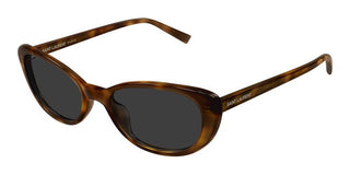 Saint Laurent SL 822 women Havana Cat Eye Sunglasses