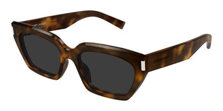 Saint Laurent Sl 826 Page Women Havana Cat Eye Sunglasses