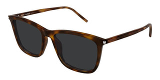 Saint Laurent Sl 851 Unisex Havana Squared Sunglasses