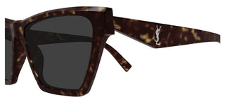 Saint Laurent SL M103 women Havana Cat Eye Sunglasses