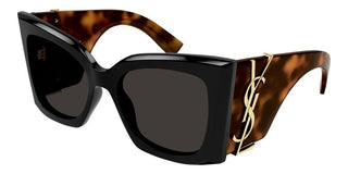 Saint Laurent Sl M119 Blaze Women Havana Squared Sunglasses