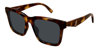 Saint Laurent SL M170 women Havana Squared Sunglasses