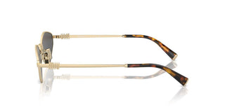 Miu Miu Smu 56zs Women Gold Other Sunglasses