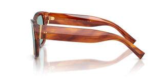 Dolce & Gabbana Soul Dg 4338 Men Havana Squared Sunglasses