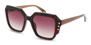 Police Superstar 3 Splr23 Unisex Havana Rectangle Sunglasses